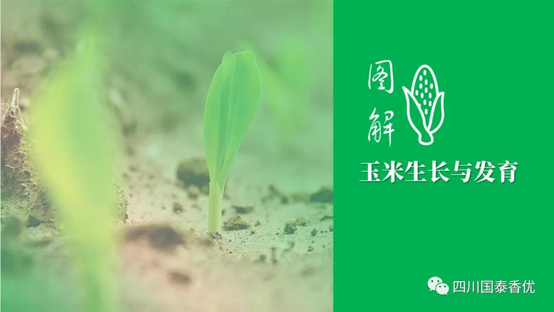 微信图片_20210629151342.jpg