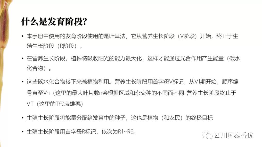 微信图片_20210629151404.jpg