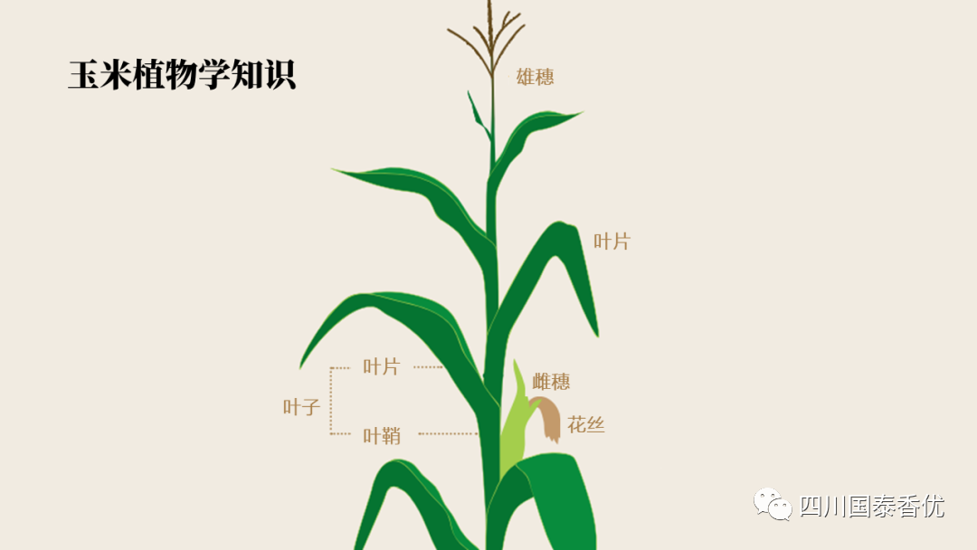 微信图片_20210629151418.png