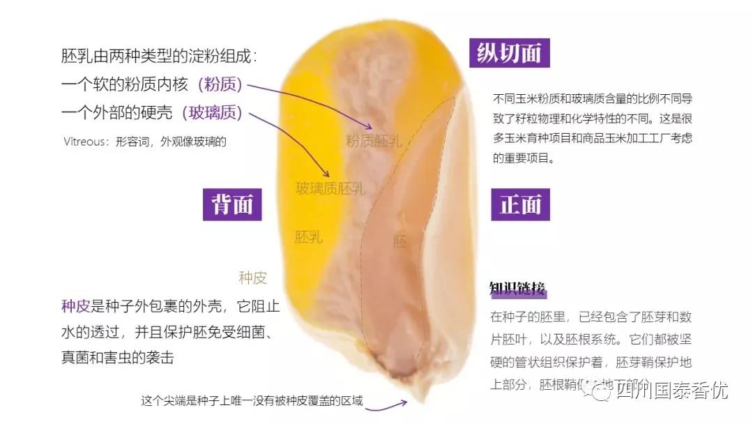 微信图片_20210629151446.jpg
