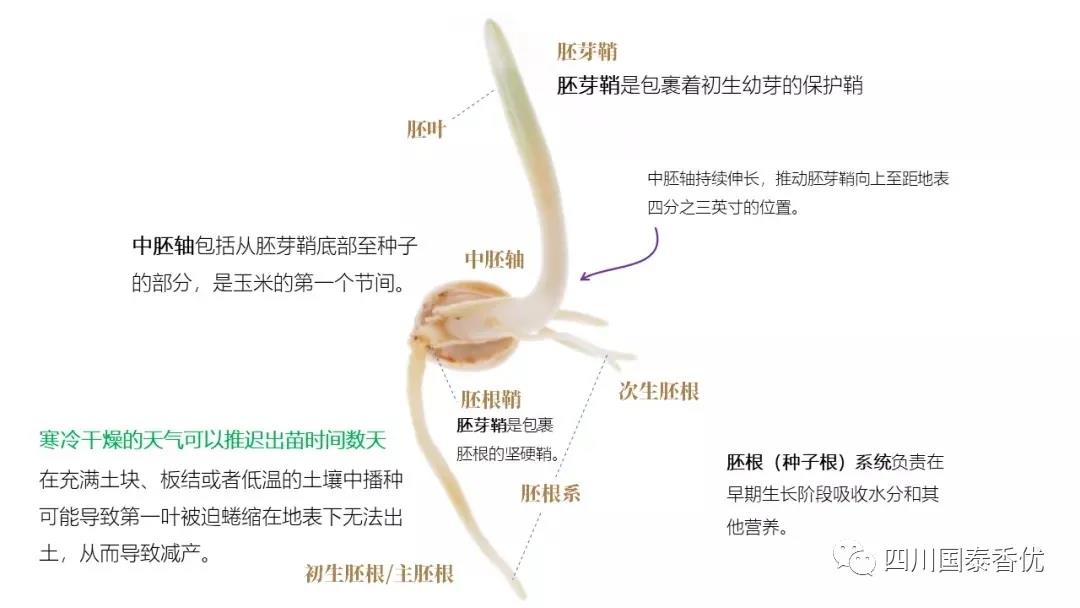微信图片_20210629151452.jpg