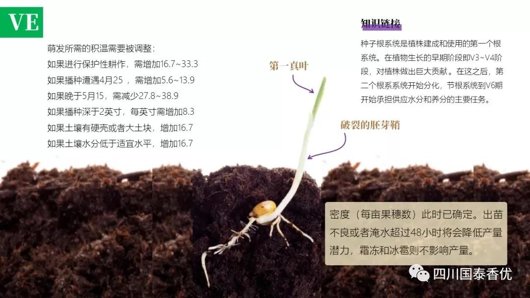 微信图片_20210629151505.jpg