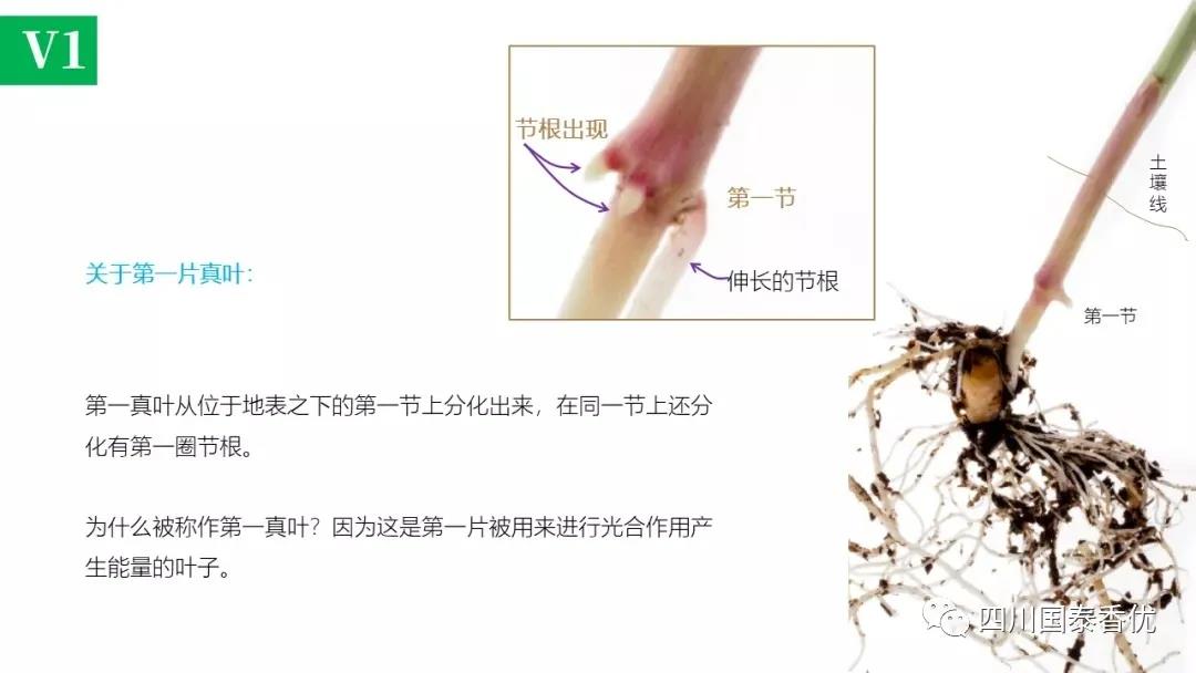 微信图片_20210629151511.jpg