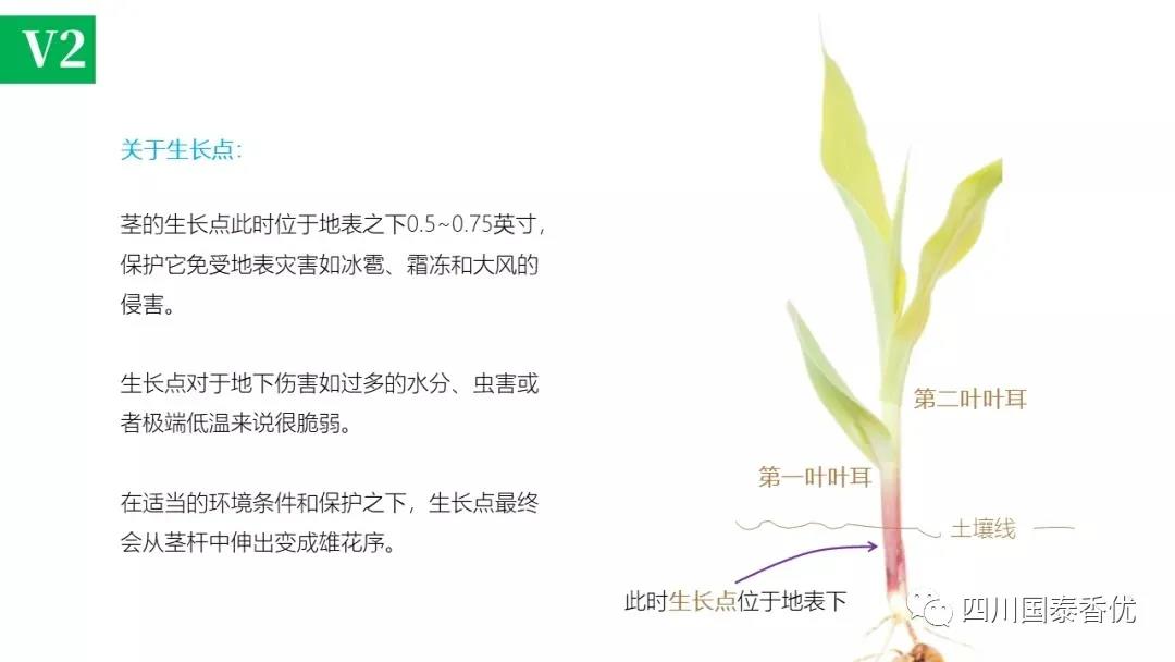 微信图片_20210629151515.jpg