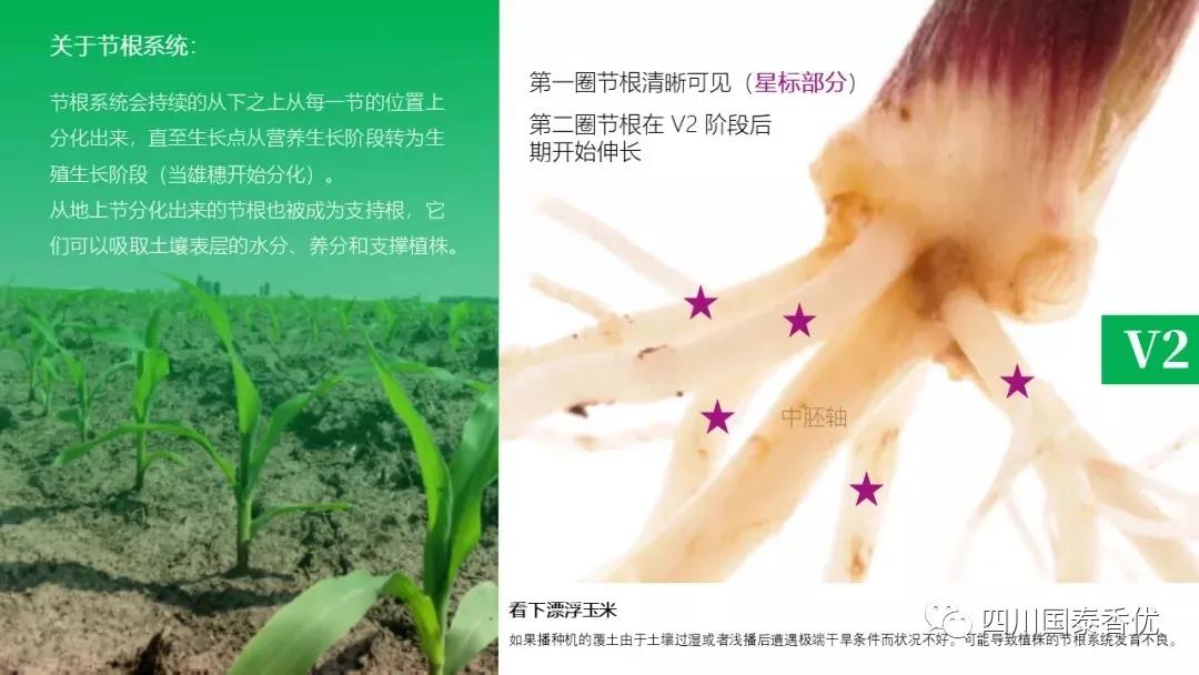 微信图片_20210629151518.jpg