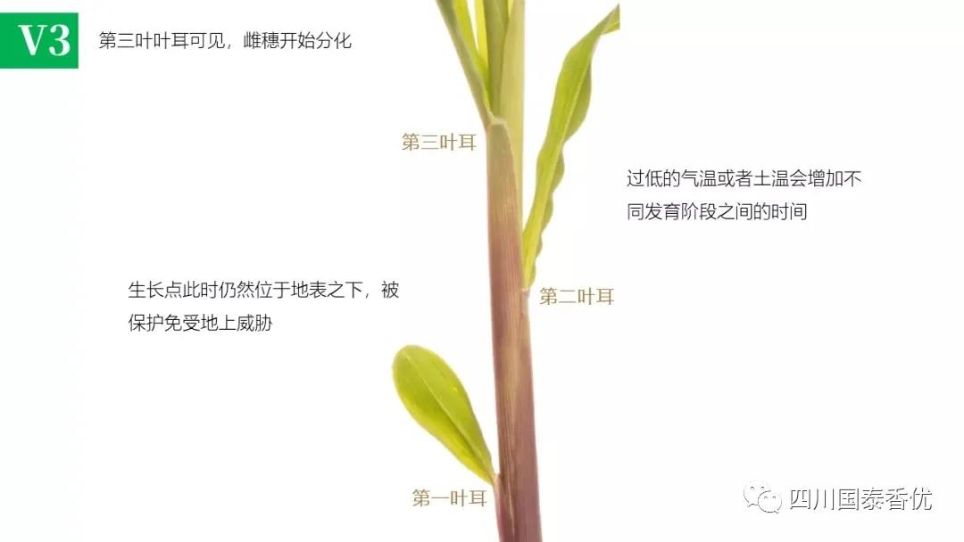 微信图片_20210629151521.jpg