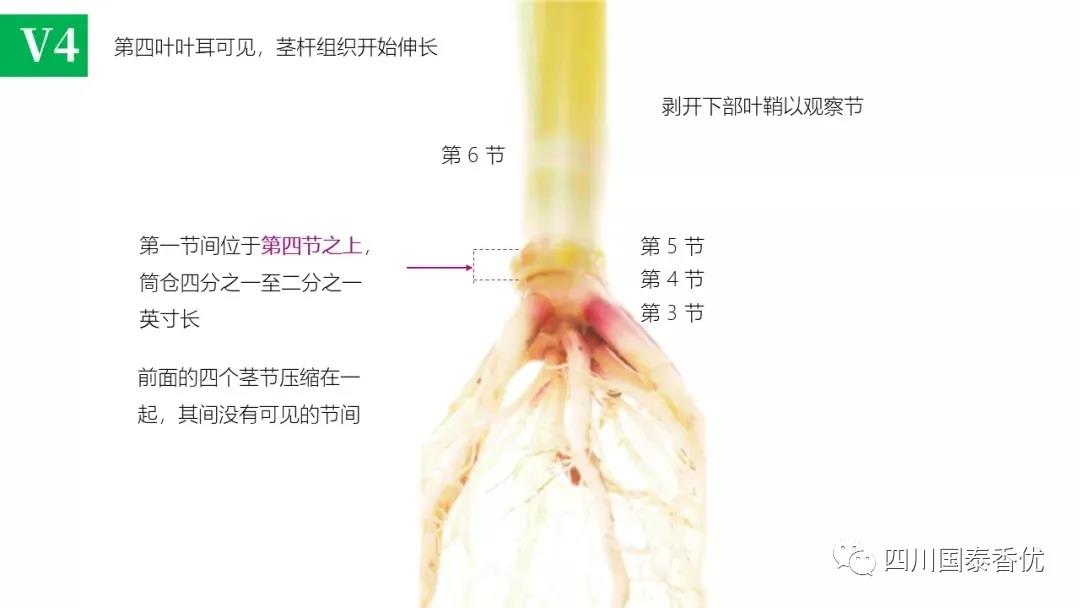 微信图片_20210629151527.jpg