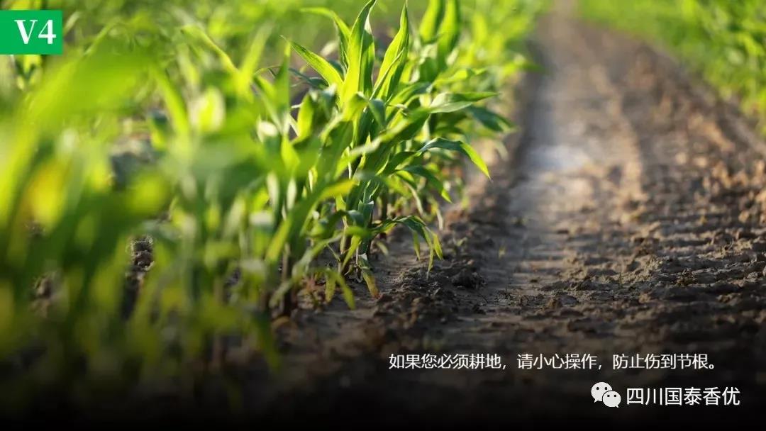 微信图片_20210629151530.jpg
