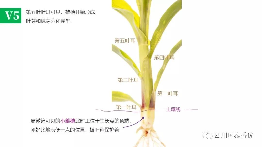 微信图片_20210629151534.jpg