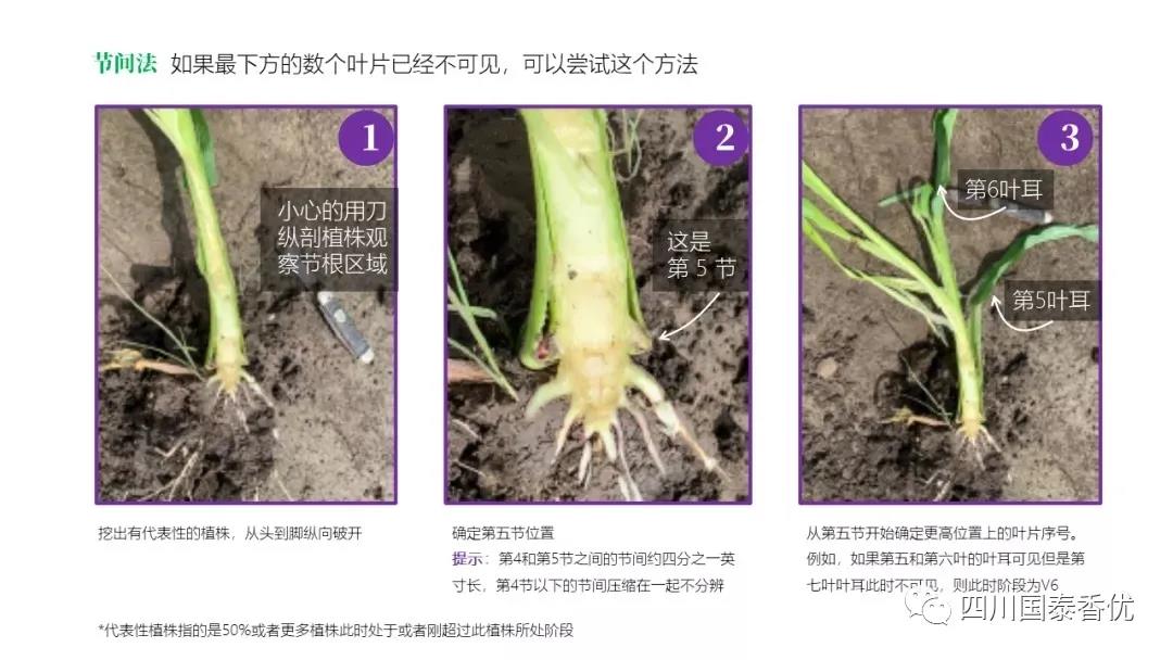 微信图片_20210629151539.jpg
