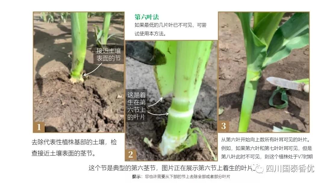 微信图片_20210629151542.jpg