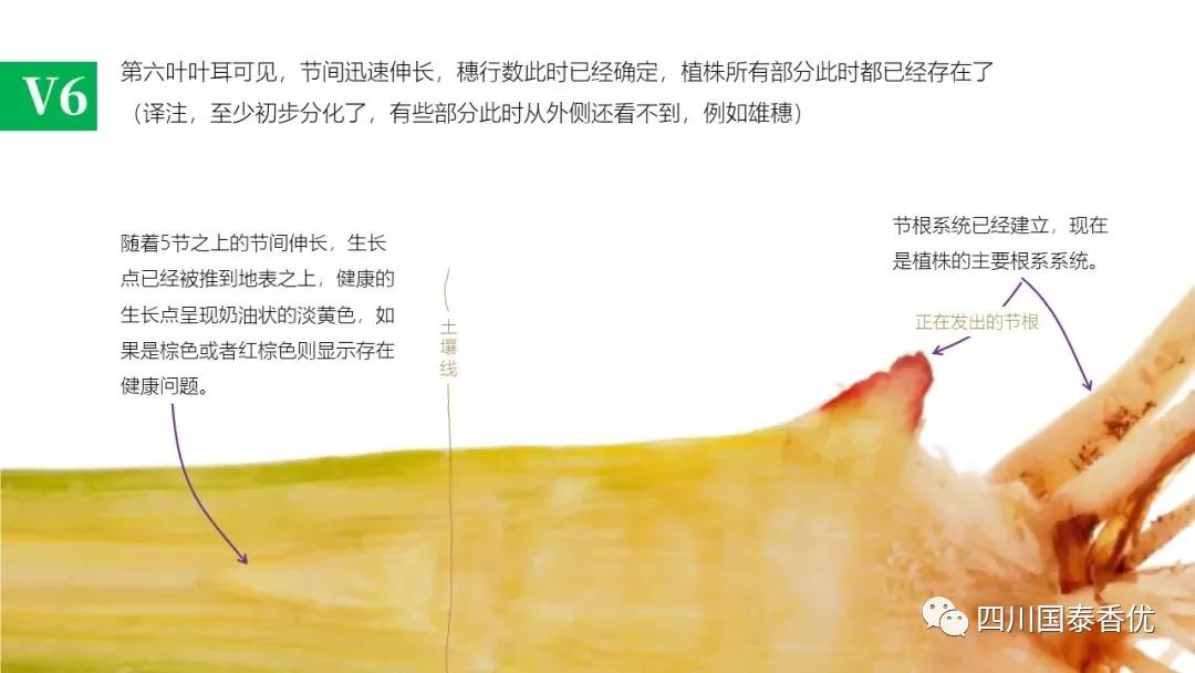 微信图片_20210629151545.jpg
