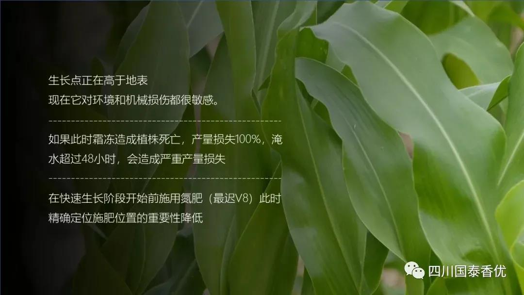 微信图片_20210629151548.jpg
