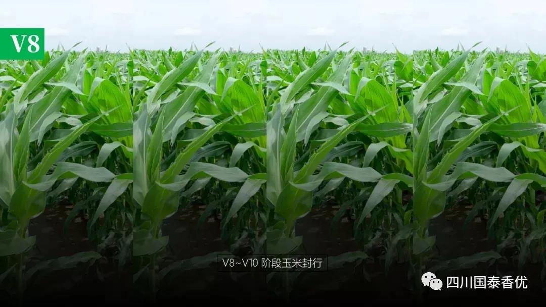 微信图片_20210629151556.jpg